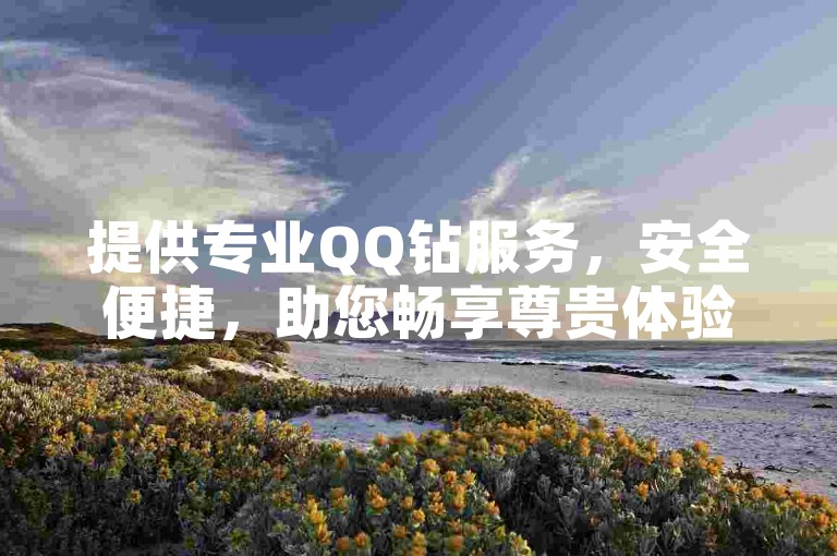 提供专业QQ钻服务，安全便捷，助您畅享尊贵体验。