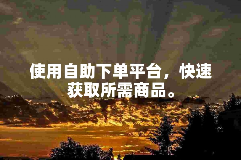 使用自助下单平台，快速获取所需商品。