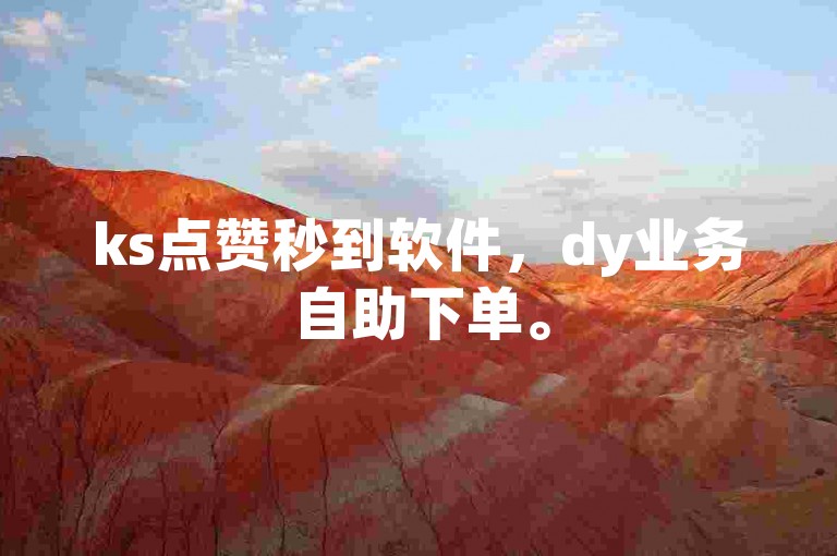 ks点赞秒到软件，dy业务自助下单。