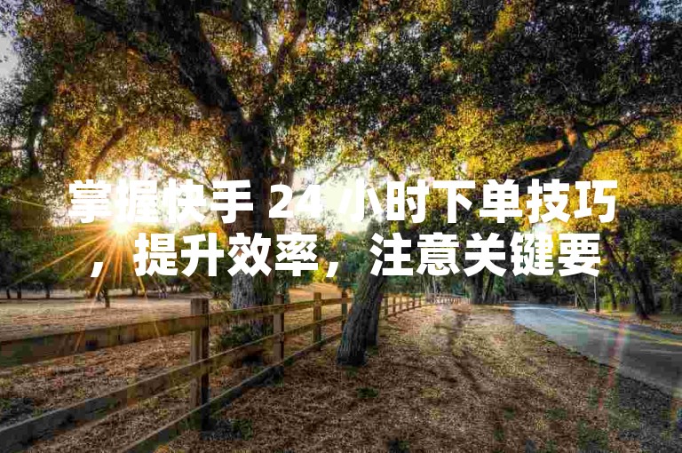 掌握快手 24 小时下单技巧，提升效率，注意关键要点。