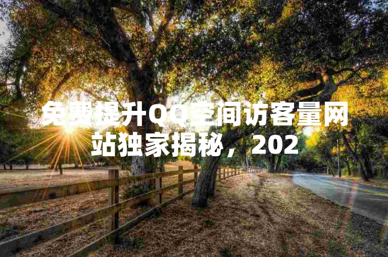 免费提升QQ空间访客量网站独家揭秘，2025必学。