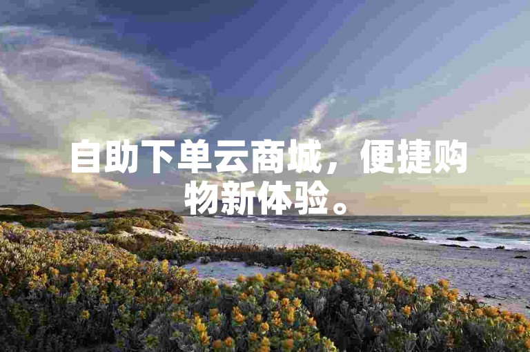自助下单云商城，便捷购物新体验。