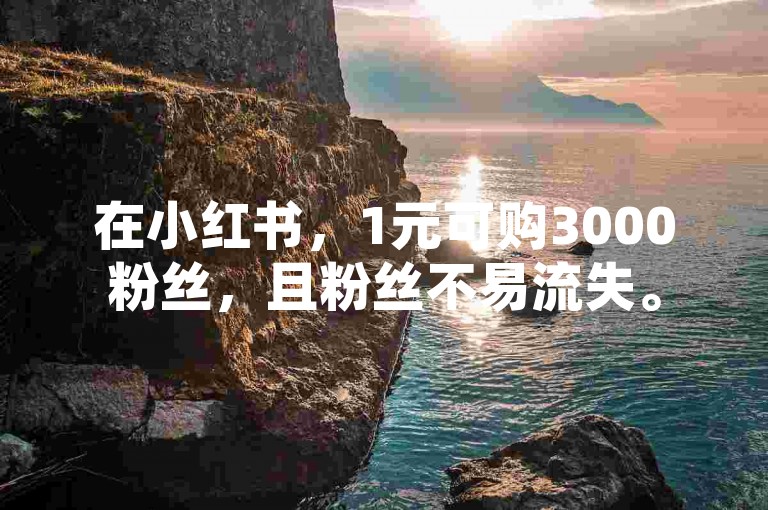在小红书，1元可购3000粉丝，且粉丝不易流失。
