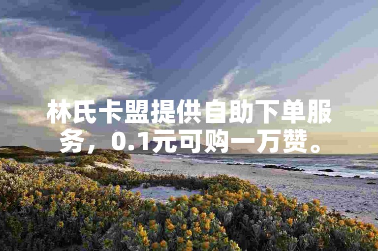 林氏卡盟提供自助下单服务，0.1元可购一万赞。