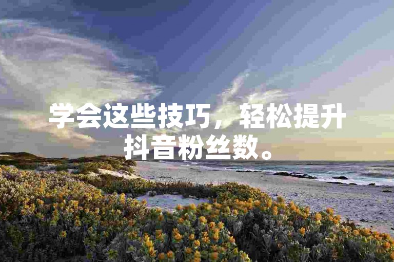 学会这些技巧，轻松提升抖音粉丝数。