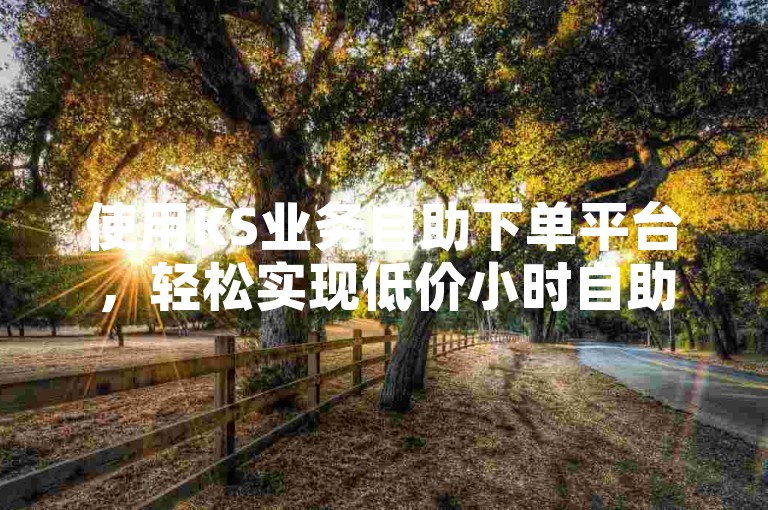 使用KS业务自助下单平台，轻松实现低价小时自助下单。