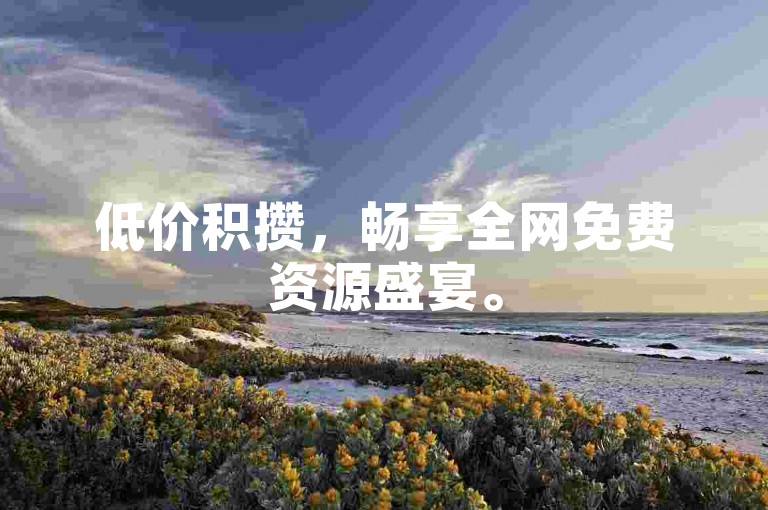 低价积攒，畅享全网免费资源盛宴。