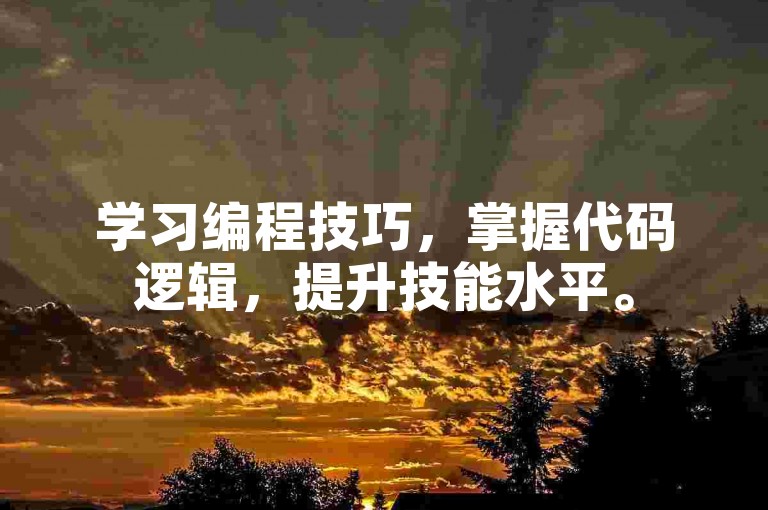 学习编程技巧，掌握代码逻辑，提升技能水平。