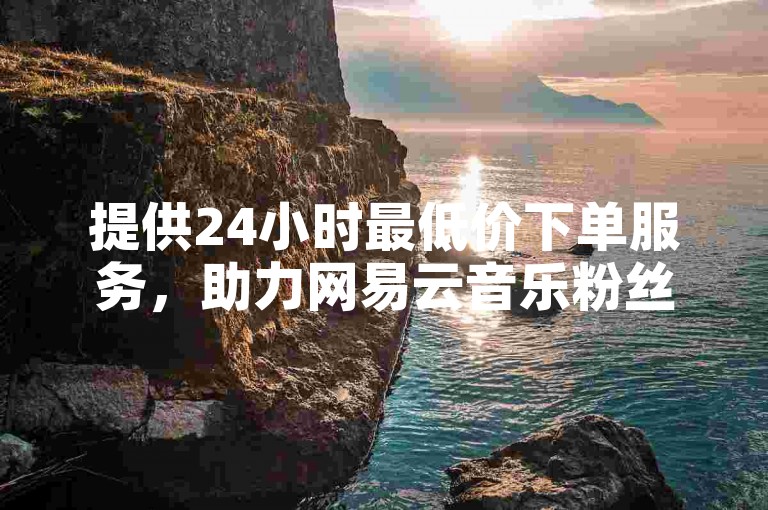 提供24小时最低价下单服务，助力网易云音乐粉丝增长。
