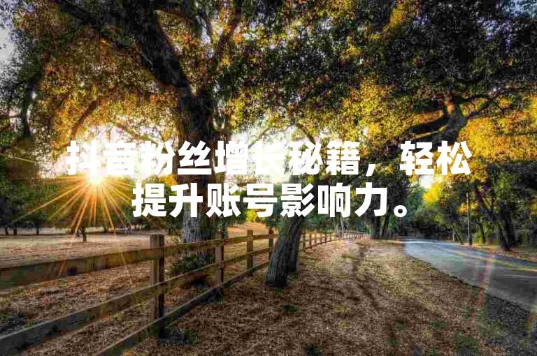 抖音粉丝增长秘籍，轻松提升账号影响力。