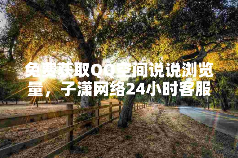 免费获取QQ空间说说浏览量，子潇网络24小时客服热线。