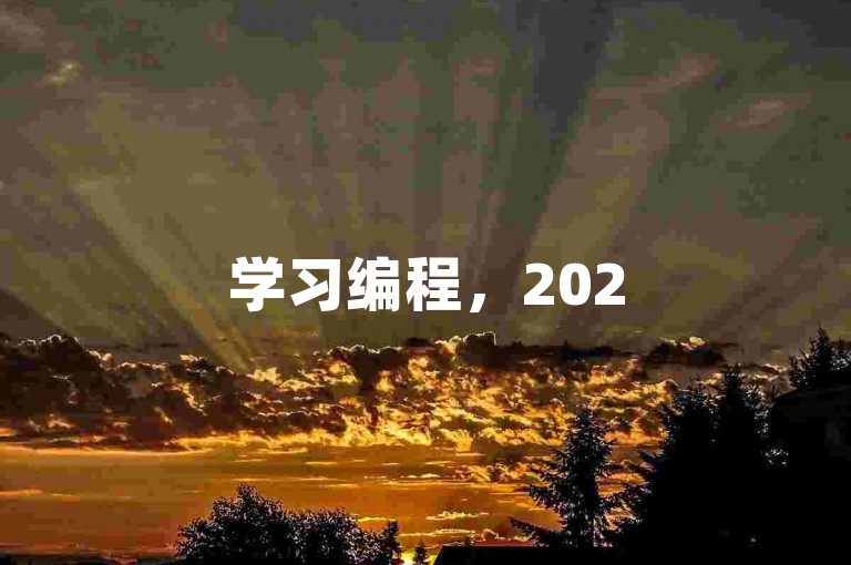 学习编程，2025年Python开发群的热潮。